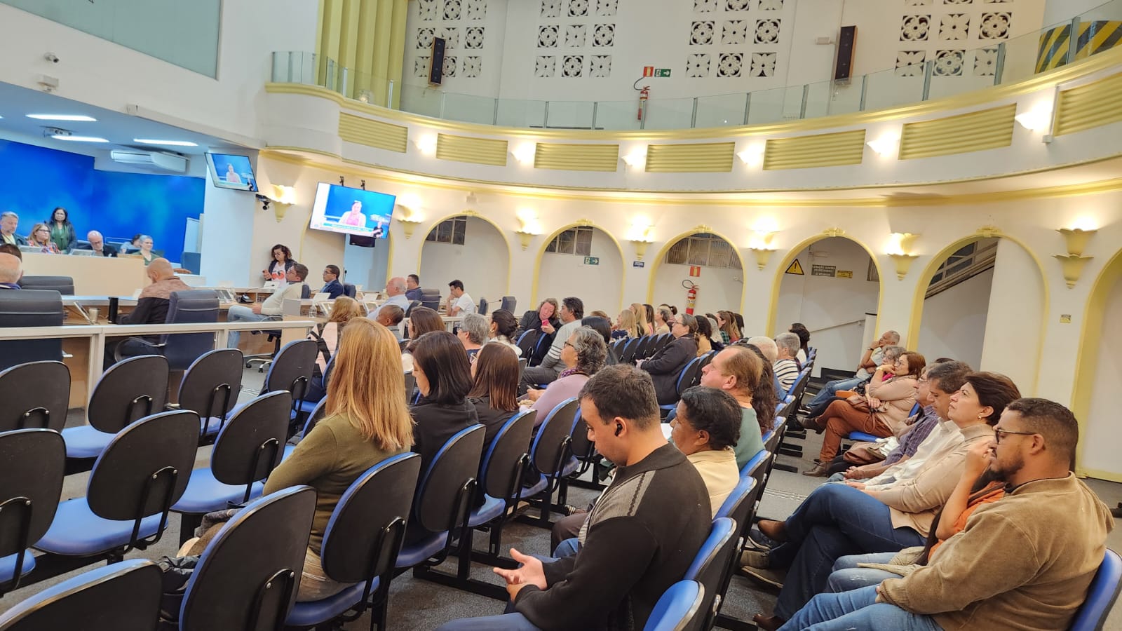 Audiência debate políticas públicas para o artesanato local