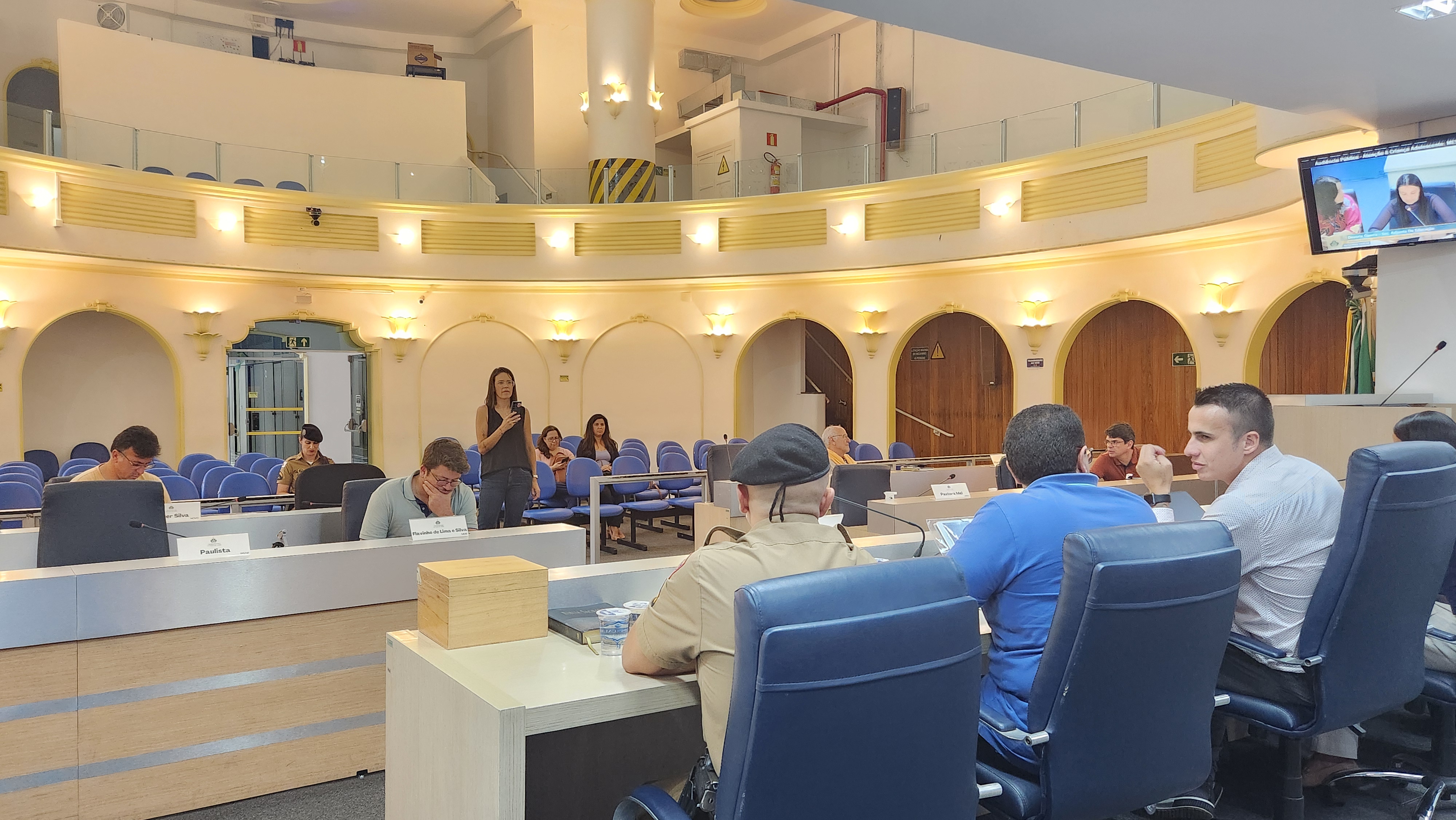 Audiência pública sobre projetos relacionados à criança e ao adolescente é realizada na Câmara