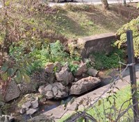 Cagnani apresenta Requerimentos sobre mau cheiro e recuperação dos muros de arrimo nos ribeirões da cidade