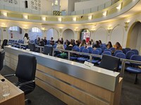 Escola do Legislativo distribui Estatuto da Igualdade Racial em Miúdos às escolas municipais