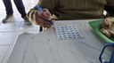 Escola do Legislativo realiza Bingo da Cidadania na Vila Vicentina Elvira Dias
