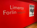Flavinho sugere que Câmara receba exposição "Retratos de Limercy Forlin" nas comemorações dos 150 anos de Poços 