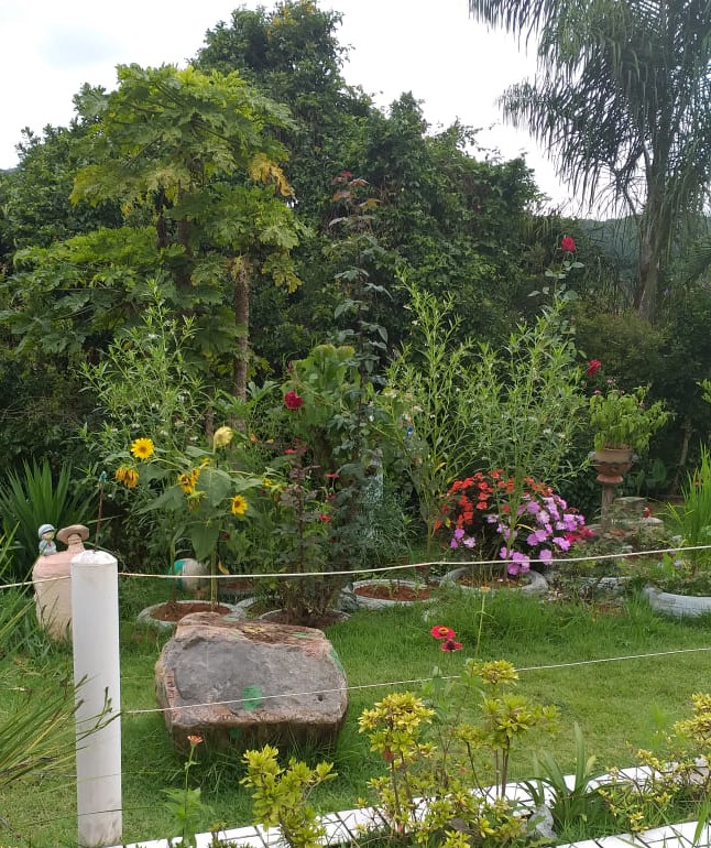 Lei Municipal incentiva recuperação de áreas abandonadas através do programa Cidadania e Ecologia