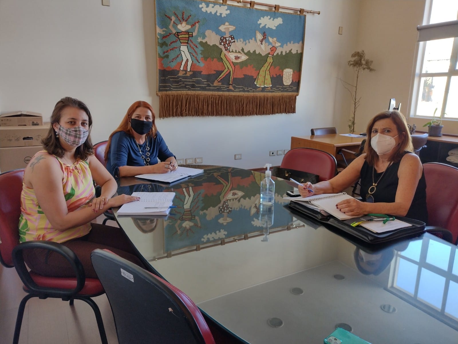 Luzia Martins sugere criação de uma Agência de Desenvolvimento para o Trabalho na SEDET