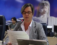 Maria Cecília pede contratação de auditoria para auxiliar trabalho da Comissão Mista
