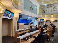 Políticas Públicas para a Causa Animal será tema de audiência na Câmara